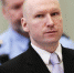 Брейвик обвинил неонацистов в совершенных им терактах - ИА Общественная служба новостей
