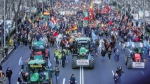 Планета протестует