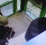 В МВД опубликовали видео нападения на композитора Александра Колкера - M24.Ru