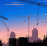 pixabay - Префектура ЮВАО Москвы