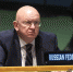 Россия предложит проект гуманитарной резолюции по Украине в Совбезе ООН - ИА Общественная служба новостей