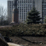 Около десяти человек пострадали из-за обстрела ВСУ в ДНР - ИА Общественная служба новостей