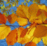 Фото: pixabay - Район Северное Медведково СВАО
