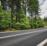 Фото: pixabay.com - Район Южное Медведково СВАО