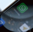 WhatsApp вотсап - ИА Общественная служба новостей