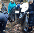 В московской части Лосиного острова прошли субботники - Национальный парк Лосиный остров