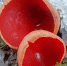 K4w31hTcwNbvUJXc900Mc93GKb4m3OSibmfcA1LIDl0XEuy2yE_d06MqzbB-iLEqemhmcKGE33tmhjMhcl0CH1Fx_cut-photo.ru.jpg - Префектура СЗАО Москвы