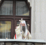 Васкршња посланица Српске Православне Цркве - Подворье Сербской Православной Церкви