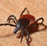 Фото: pixabay - Район Северное Медведково СВАО