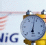 PGNiG Польша газ - ИА Общественная служба новостей