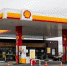 Shell прекратила продажу топлива на АЗС в РФ - M24.Ru