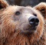 Фото: pixabay - Район Вешняки ВАО Москвы