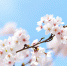 Фото: pixabay.com - Район Лефортово ЮВАО Москвы