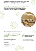 Галокамеры