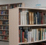 Встреча книжного клуба МГЛУ состоится в детской библиотеке. Фото: Анна Быкова - Район Якиманка ЦАО Москвы