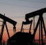 Булат Нигматулин: без нашей нефти мир не выживет - ИА Общественная служба новостей