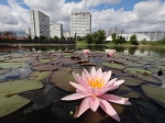 ФОТОФАКТ