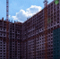 Безымянный.jpg - Префектура САО Москвы