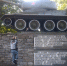 Полиция прервала проводившийся в Нарве митинг за возвращение советских памятников - ИА Общественная служба новостей