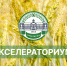 У студентов появилась уникальная возможность развить свои бизнес-навыки - РГАУ-МСХА имени К.А. Тимирязева