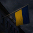 Азаров предрек большой международный скандал из Украины - ИА Общественная служба новостей