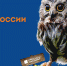 Лосиный остров примет участие в работе Международного кинофестиваля «Разумный кинематограф» - Национальный парк Лосиный остров