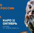 В Москве пройдет Международный кинофестиваль о природе "Разумный кинематограф" - Molnet.Ru