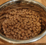 Для бездомных животных в культурных центрах ЮВАО собрали 100 килограмм корма - Префектура ЮВАО Москвы