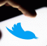 Twitter могут проверить по вопросу снятия блокировки - M24.Ru