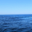 море - ИА Общественная служба новостей