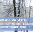 График работы подразделений Боткинской больницы в новогодние дни - ГБУЗ ГКБ им.С.П. Боткина ДЗМ