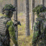 Бородай рассказал о военных НАТО, сражающихся за ВСУ в ЛНР - ИА Общественная служба новостей