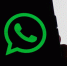 В WhatsApp появится функция отправки фотографий в оригинальном качестве - M24.Ru