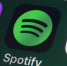spotify - ИА Общественная служба новостей