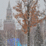 Одной строкой. Фото: Анна Быкова, «Вечерняя Москва» - Москва.Центр