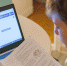 pyls_ekzameni_mesh_na2303_samarin(9).jpg - Префектура САО Москвы