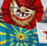 С Днём Советской Армии и Военно-Морского Флота! - КПРФ