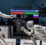 Медиаресурс StudentSport.ru рассказал о развитии фехтования в Тимирязевке - РГАУ-МСХА имени К.А. Тимирязева