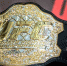 UFC объявила о слиянии с рестлинг-лигой WWE - Вечерняя Москва