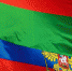 Минпросвещения поддержало инициативу депутата Удальцовой по укреплению единства Союзного государства - КПРФ