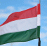 hungarian-flag-2414351_960_720 - ИА Общественная служба новостей