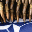 ammunition-7063574_960_720 - ИА Общественная служба новостей