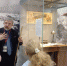 Музей обороны Москвы приглашает на онлайн-лекцию «История Знамени Победы» - На Западе Москвы: Тропарево-Никулино