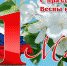 oud6qqcx2xu.jpg - Префектура САО Москвы