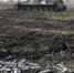 cf862a707922199eeb6d8874af1f0a2d_o - ИА Общественная служба новостей