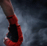 Red boxing glove - ИА Общественная служба новостей