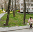 В Солнцево и Ново-Переделкино дворы благоустроят за счет автовладельцев - Solncewonews.ru