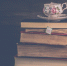 Специалисты библиотеки №173 представили подборку книг для младшеклассников - Район Тёплый Стан