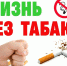 WhatsApp Image 2023-05-29 at 10.17.18.jpeg - Район Братеево