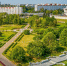 После зимовки на природные территории Москвы вернулись ласточки - Наш Теплый Стан